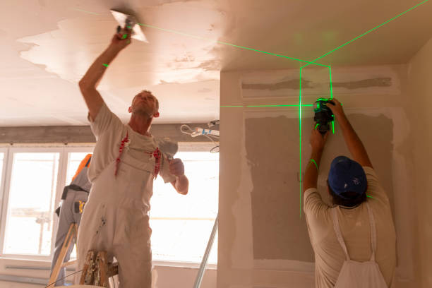 Best Environmental Consulting for Mold Prevention  in Sloan, IA